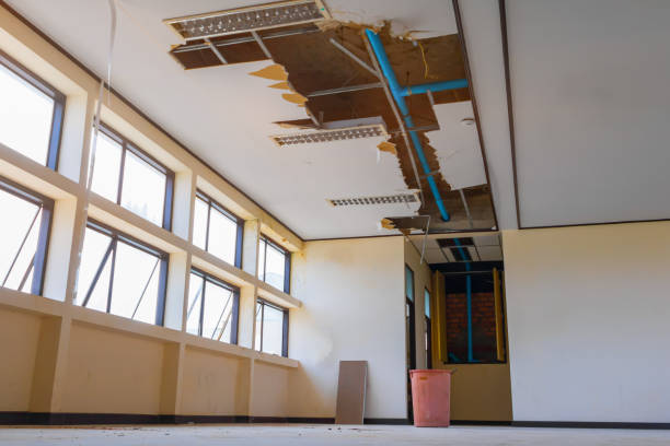 Best Professional water damage repair  in Boiling Spring Lakes, NC