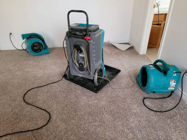 Best Flood damage cleanup  in Boiling Spring Lakes, NC