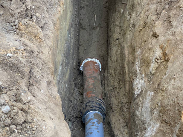 Best Basement water damage restoration  in Boiling Spring Lakes, NC