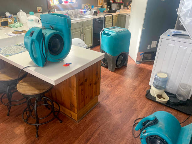 Best Commercial water damage restoration  in Boiling Spring Lakes, NC