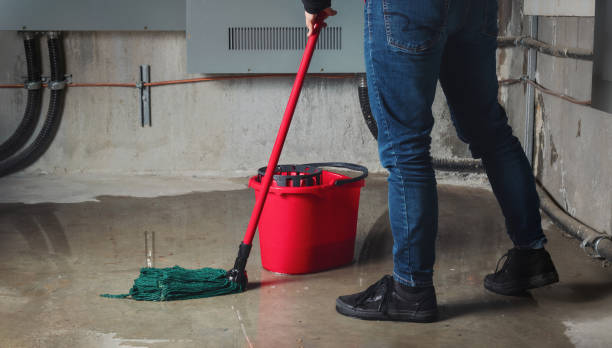 Best 24/7 water damage repair  in Boiling Spring Lakes, NC