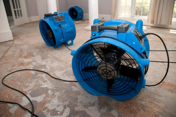 Best Residential water damage restoration  in Boiling Spring Lakes, NC