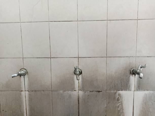 Best Ceiling water damage repair  in Boiling Spring Lakes, NC