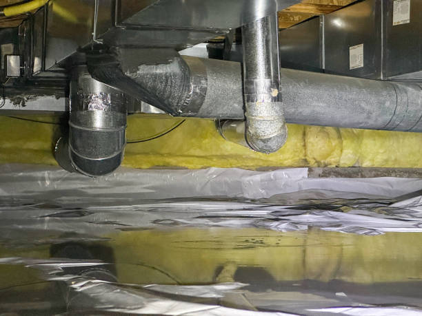 Best Mold removal after water damage  in Boiling Spring Lakes, NC