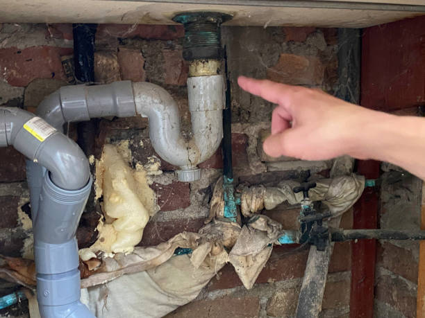 Best Local water damage restoration  in Boiling Spring Lakes, NC
