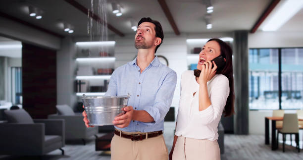 Best Flooded house restoration  in Boiling Spring Lakes, NC