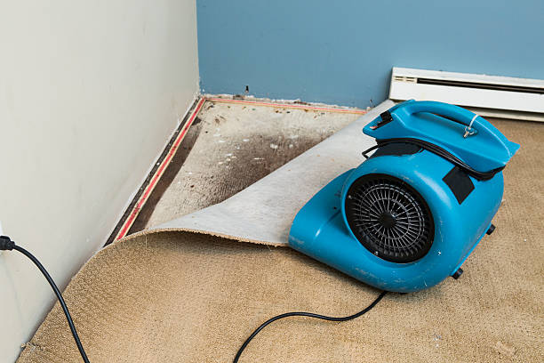 Best Carpet water damage restoration  in Boiling Spring Lakes, NC